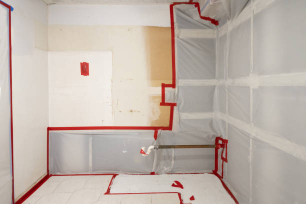 Best Mold-Related Health Consultation  in Ardia, CA