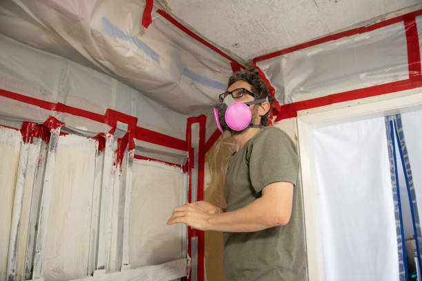 Best Comprehensive Air Testing for Mold Contaminants  in Ardia, CA