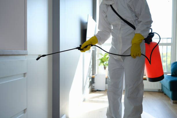 Mold Documentation for Insurance Claims in Arcadia, CA