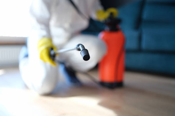Best Airborne Mold Testing  in Ardia, CA