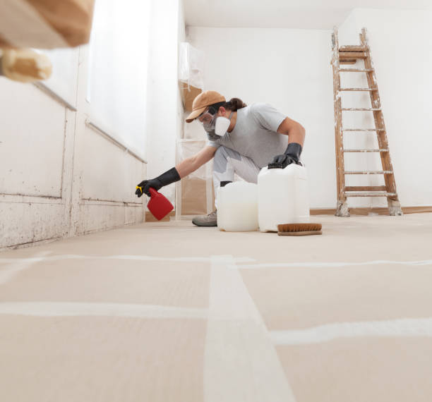 Best Asbestos and Lead Testing During Mold Inspection  in Ardia, CA