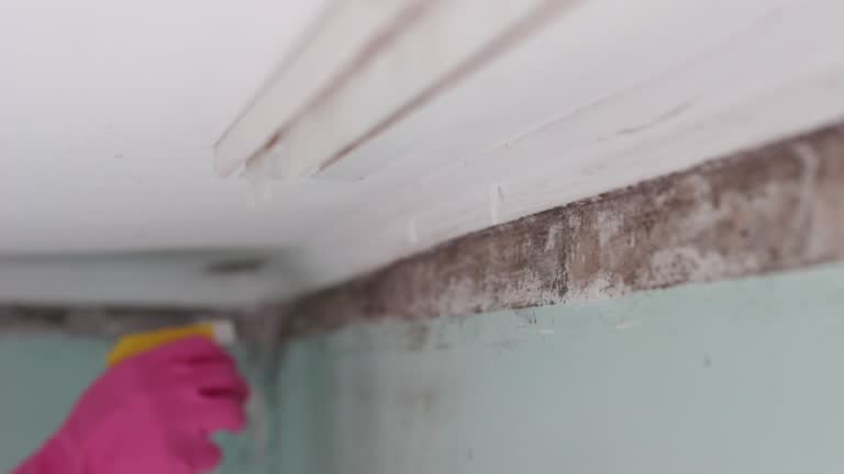 Best Indoor Air Quality Assessment  in Ardia, CA